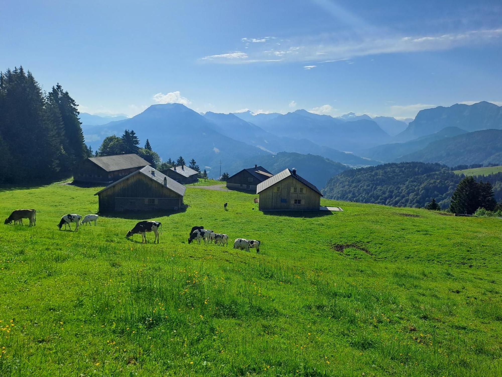 Neu Auszeit985 - Auszeit Mit Ausblick Apartment Schwarzenberg im Bregenzerwald Exterior photo